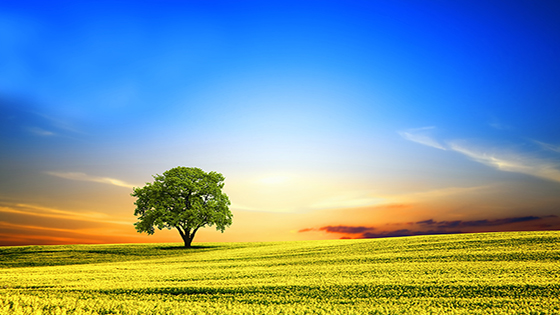 【上市20周年】勇立潮头四十余载，抖圈信息以何基业长青？